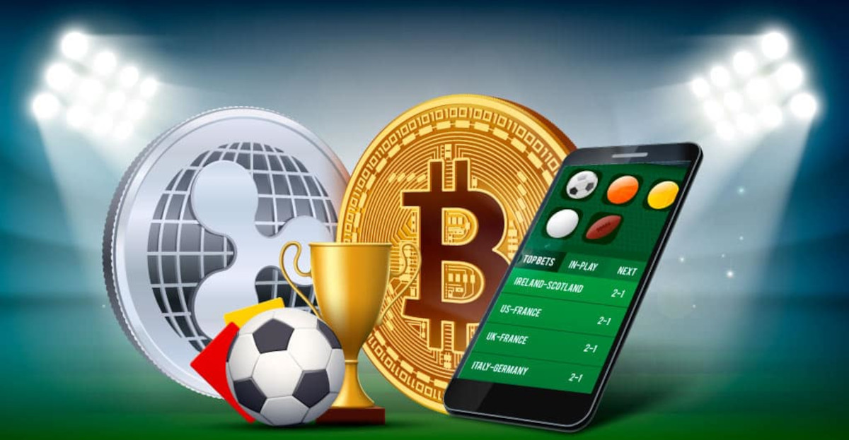 Everything You Need to Know About Frapapa Bet 11 Everything You Need to Know About Frapapa Bet 11